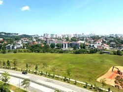 The Botany At Dairy Farm (D23), Condominium #538503451